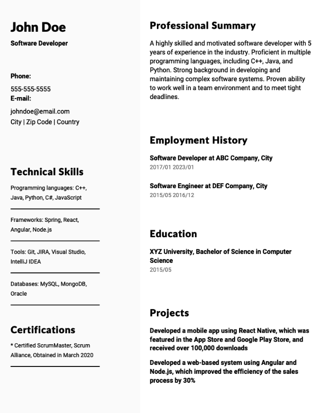 Software Developer Resume Example
